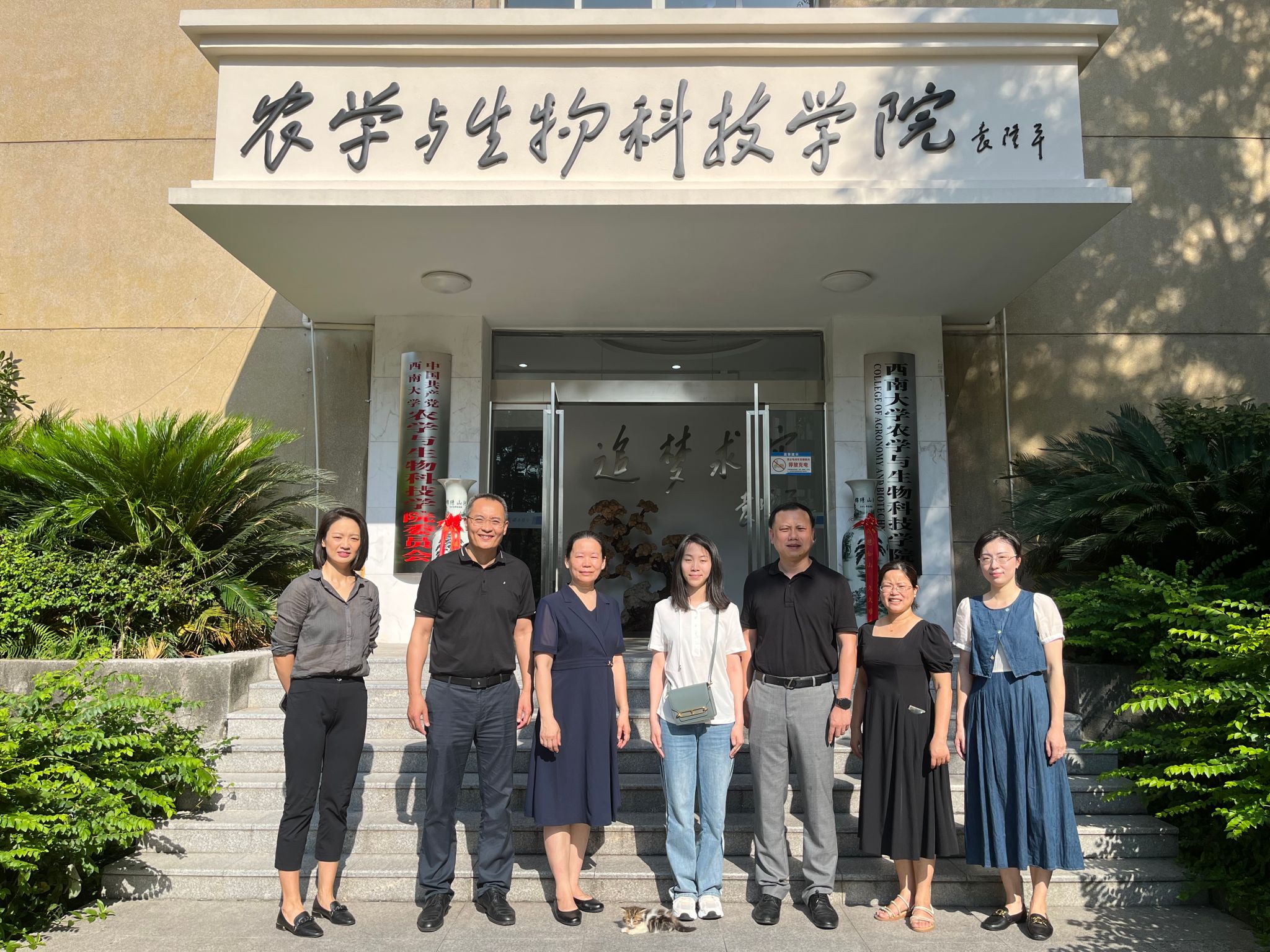 e1cc2995133d020de45ef1fa7abac64